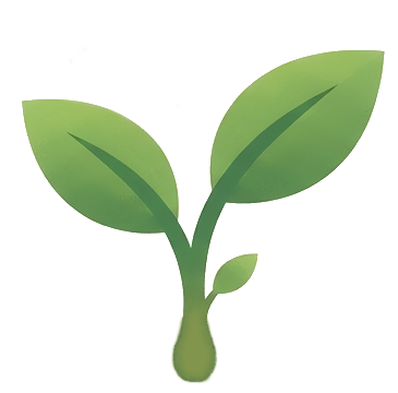 Sprout 1